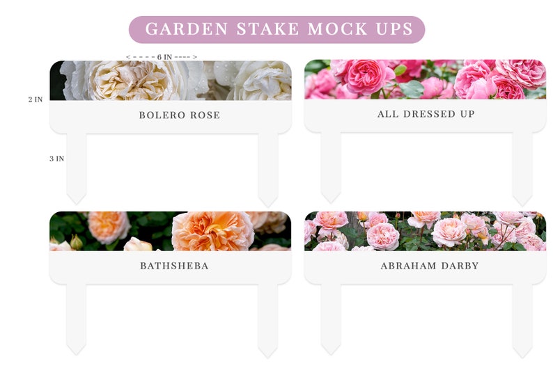 Garden Stakes With Picture Roses Plant Labels With Pictures Etsy