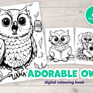 Delightful Owl Trio | Digital Coloring Pages (Set of 3) | Instant Download | Adult or Kids Coloring