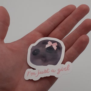 Sad Hamster Meme Sticker cute funny gift trend Tiktok Im just a girl Cut Vinyl image 4