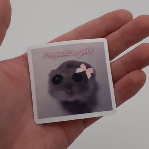 Sad Hamster Meme Pegatina linda tendencia de regalo divertido Tiktok Soy solo una chica Vinilo cortado imagen 7