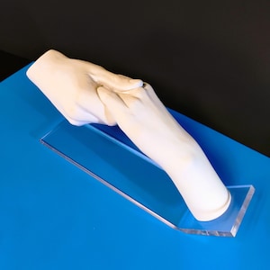 May include: A sculpture of two hands clasped together, rendered in a creamy white hue. The hands are positioned on a clear, rectangular acrylic base, set against a vibrant blue surface and a black backdrop. The artwork conveys a sense of connection.