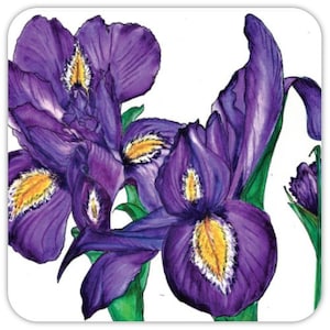 Beverage Coasters- Set of 4- High Gloss IRIS