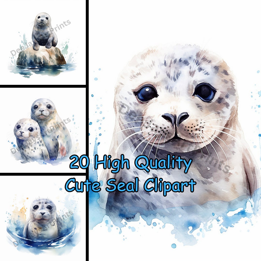 Cute Seal Clipart 20 High Quality Pngs Digital Download Etsy