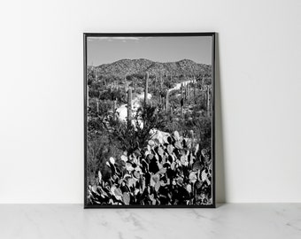 Contemporary Black & White Desert Road Landscape Photo Art Print