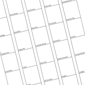May include: A grid of rectangular boxes, each labeled with a unique name. The names include "Dress Blues," "Just Peachy," "Pink Lady," "Strawberry Pie," "Early Bird," "Key Lime," and "Pink Sands." The boxes are arranged in diagonal rows.