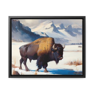 Winter Majesty: A Buffalo&#39;s Stroll Through Yellowstone