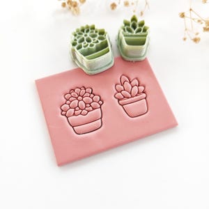 May include: A set of green plastic succulent-shaped cookie cutters and a pink clay impression with two succulent designs. The cutters are in the shape of potted succulents. The clay has two succulent impressions.
