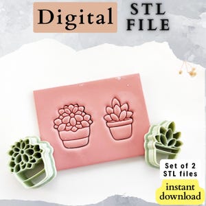 May include: Digital STL file for succulent-shaped cookie cutters. The image shows a pink rectangular mold with two succulent designs and two green plastic cutters. Text includes "Digital STL File", "Set of 2 STL files", and "instant download".