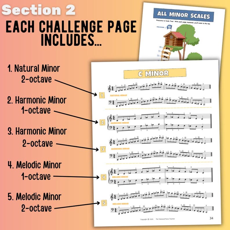 All Mainor Scales Notes.pdf Piano Scale Sheets: Major & Minor Scales, Chords, Arpeggios (PDF) - Etsy
