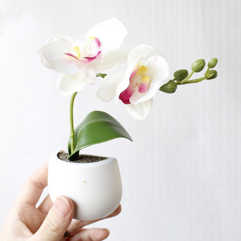 Mini Fridge Planter Fridge Plant Lover Gift Etsy