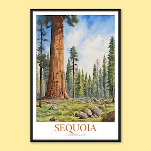 Sequoia National Park Art Print: Travel Poster Wall Decor