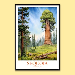 Sequoia National Park Art Print: California Travel Poster