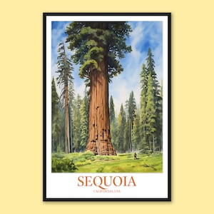 Sequoia National Park Poster: California Travel Wall Art