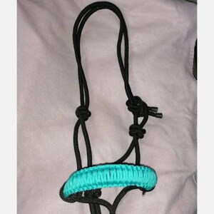 May include: A black rope halter with a turquoise braided noseband.