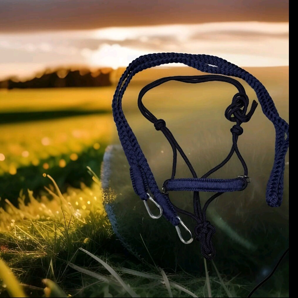 Briglia Senza Morso In Corda Intrecciata Viola/arcobaleno, Taglia Full, Con Redini