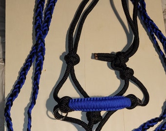 Bright blue and black shetland size bitless bridle and reins set