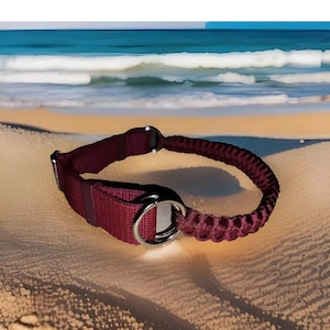 以下が含まれることがあります： 砂浜に置かれた、銀色のDリングが付いたマルーンの犬用首輪のクローズアップ。