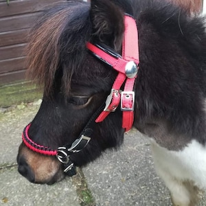 Bitless bridle attachment. Convert your standard bridles to a Bitless bridle!