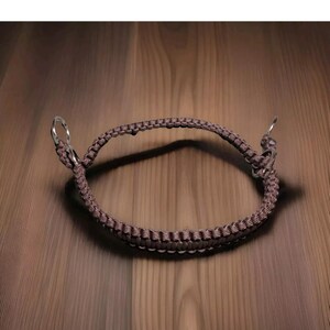 Op de afbeelding: Een bruin paracord hondenhalsband met zilveren metalen gespen.
