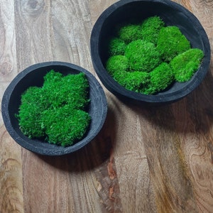12 pcs 2 in Green Natural Moss Balls with Gold String Vase Filler Set