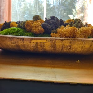 Moss Bowl Centerpiece &quot;Gilded Hunter&quot; Paulownia Wood 16&quot;