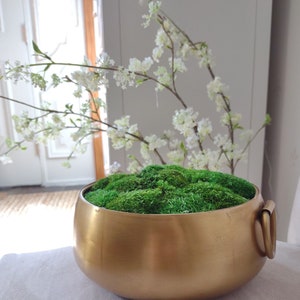 MD MACOMINE Design Moss Bowl | 8 Diameter | Artificial | Ceramic Pedestal Bowl | Home Décor