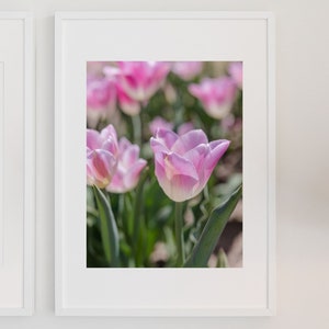 Purple Flower Print, Digital Floral File, Tulip Fields, Professional Image, Flower Home Decor