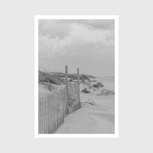 Dunes de plage, Herbe des dunes, Dunes de la côte est, Art classique de la plage, Art côtier noir + blanc, Image de paysage professionnelle