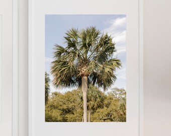 Coastal Palm Tree Professional Print, Collage Prints, Digital File, Beach Wall Art, Coastal Home Decor