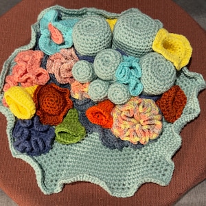 Crochet Coral Reef Play Mat