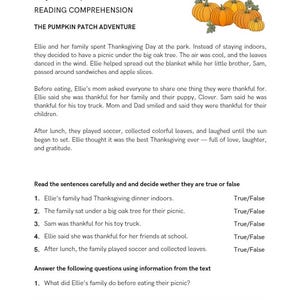 May include: Thanksgiving reading comprehension worksheet with text about a family's picnic. Includes questions to answer and true/false statements. Features illustrations of pumpkins and fall leaves.