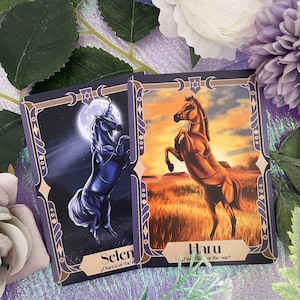 Sammelkarte *Kakaokarte* Magic Horses - B-Ware Set