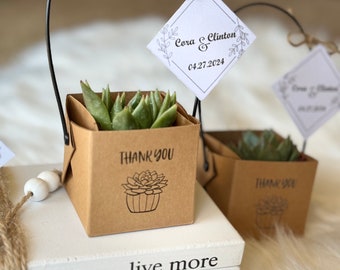 Bulk Succulent Favors, Wedding Favors, Wedding Favors for Guests, Custom Wedding Favors, Bulk Favors for Guests, Unique Wedding Favor