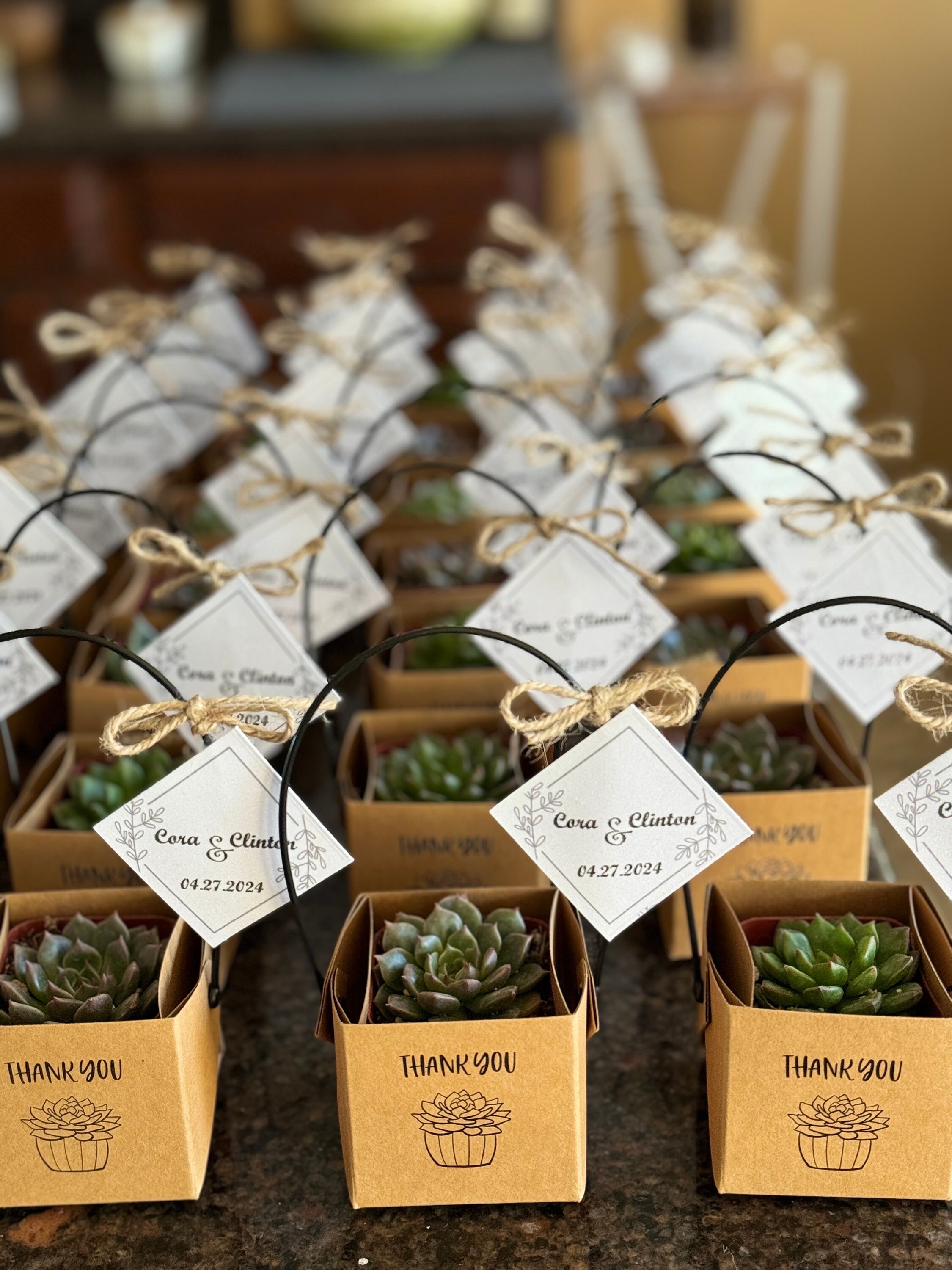 Bulk Succulent Favors Wedding Favors Wedding Favors For Guests Bulk Succulent Favors Wedding Favors Wedding Favors For Guests