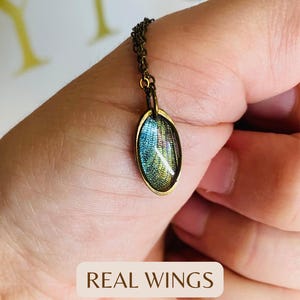 Iridescent Dragonfly Wing Necklace, Dragonfly Necklace, Real Wings, Forest Fairy Wings, Fairycore Jewelry