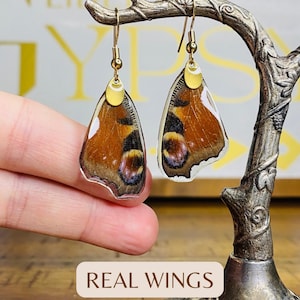 May include: Butterfly wing earrings with gold-colored hooks and accents. The earrings feature brown, orange, and white patterns, resembling real butterfly wings. The earrings are displayed on a decorative metal stand.