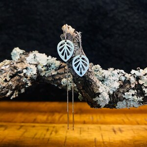 May include: A pair of silver leaf-shaped earrings with delicate chain accents. The earrings are displayed on a textured, lichen-covered branch against a dark background. The earrings have a minimalist design.