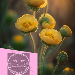 Puede incluir: Primer plano de flores amarillas con tallos y hojas verdes. Las flores est&aacute;n enfocadas y el fondo est&aacute; desenfocado. Las flores est&aacute;n en un campo y el sol brilla sobre ellas.