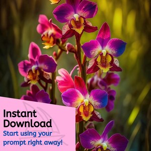 Puede incluir: Un primer plano de un grupo de orqu&iacute;deas vibrantes de color rosa y morado en flor. Las flores tienen patrones intrincados y una apariencia delicada y femenina.