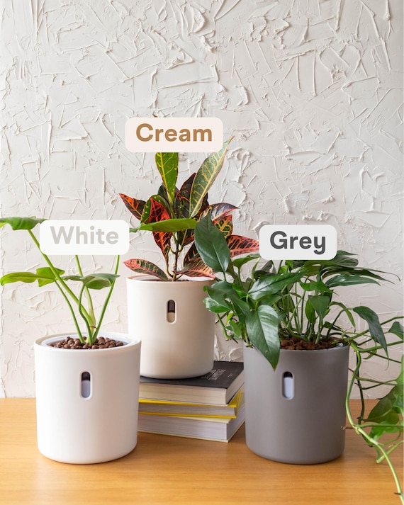 SRLSTRAIGHTTYPE PLANT POT-Lvaliemカタチ製作所 Leca Pots, Semi Hydro Self Watering Planter Large for Leca and Pon