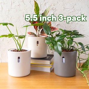 May include: Three 5.5 inch white and gray self-watering planters with plants. The text "5.5 inch 3-pack" is displayed above the planters.