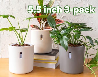 LECA Pots 3-pack, Semi Hydro Self Watering Planter for Houseplants | Hydropot Hydroponic Plant Pot | 5.5 inch