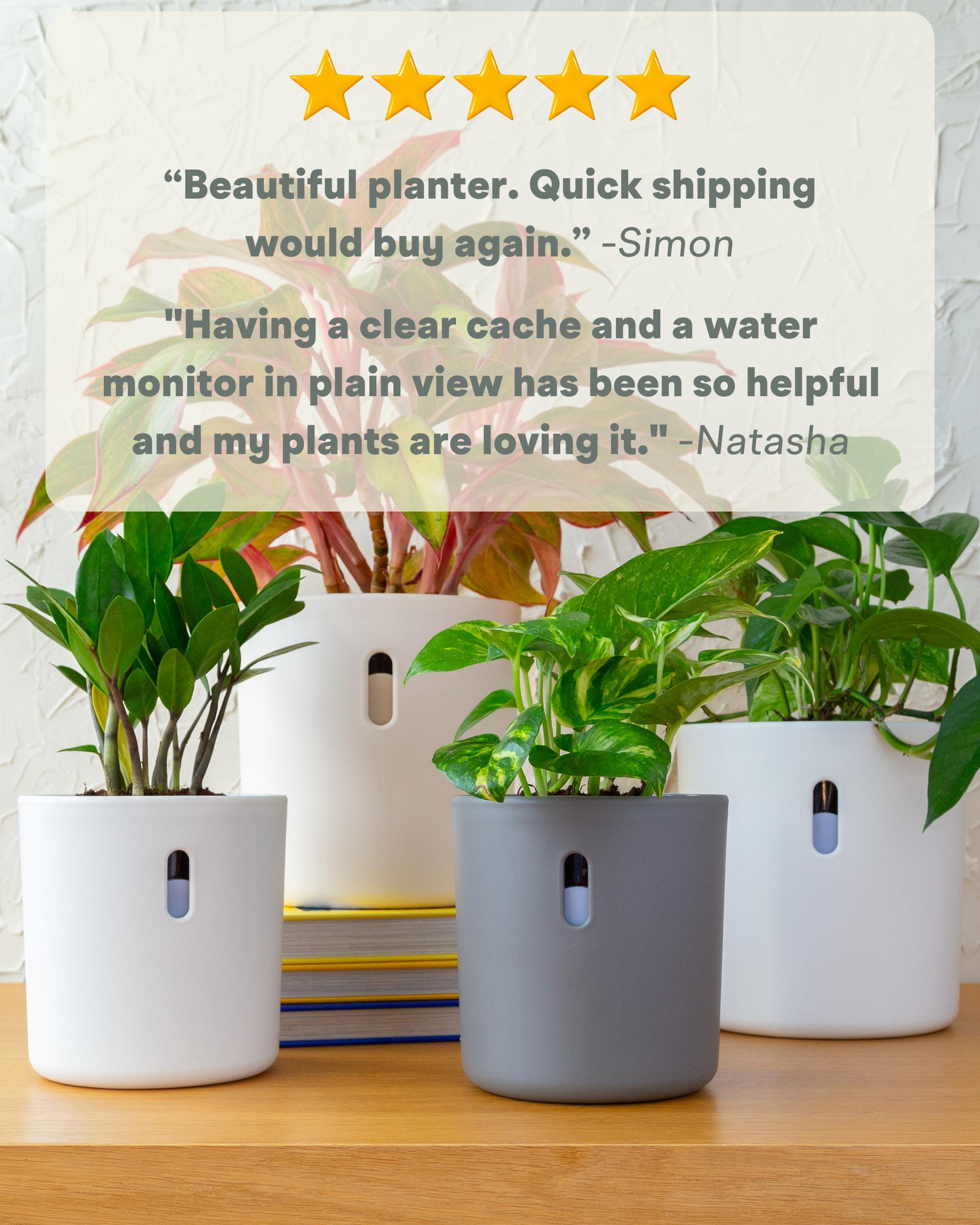 Wavyleaf Self Watering Planter | Water Once and Forget It For a Month | 4 inch