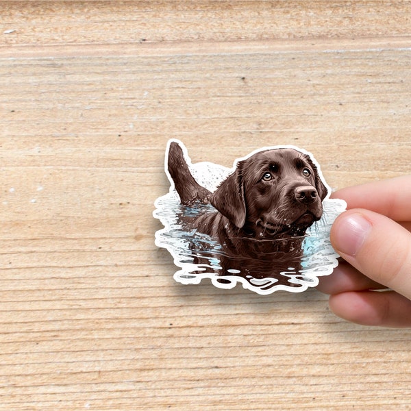 Chocolate Lab Swimming Vinyl Sticker | Water Bottle Sticker | Laptop Sticker | Labrador Retriever Sticker | Dog Glossy Sticker