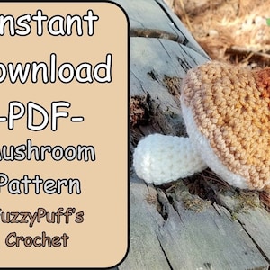 Mushroom Crochet Pattern - Instant Download - Beginner Friendly - PDF Pattern Download - Cottage Core - Wood Elf - DIY - Flora - Realistic