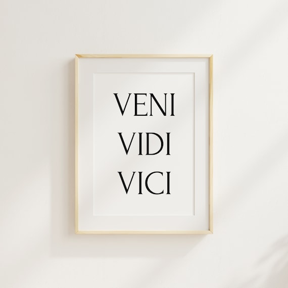 Veni Vidi Vici Poster