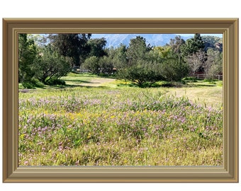 Wildflower Download digitale Fiori rosa e gialli Wall Art Home Decor Regalo per il suo paesaggio floreale Download istantaneo Flower Photography