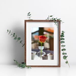 Red Rose Wall Art Printable Rose Photo Fine Art Photography Rose Digital Download Flower Printable Wall Decor Mothers Day Gift Photo Print