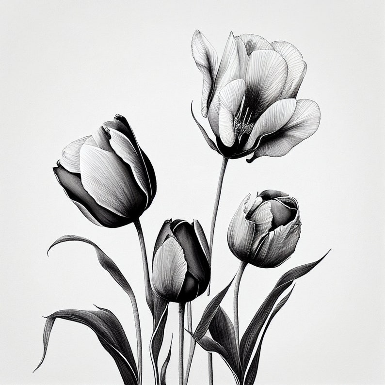 Tulips PRINTABLE Sketch Minimalist Black and White Sketch Modern Home ...