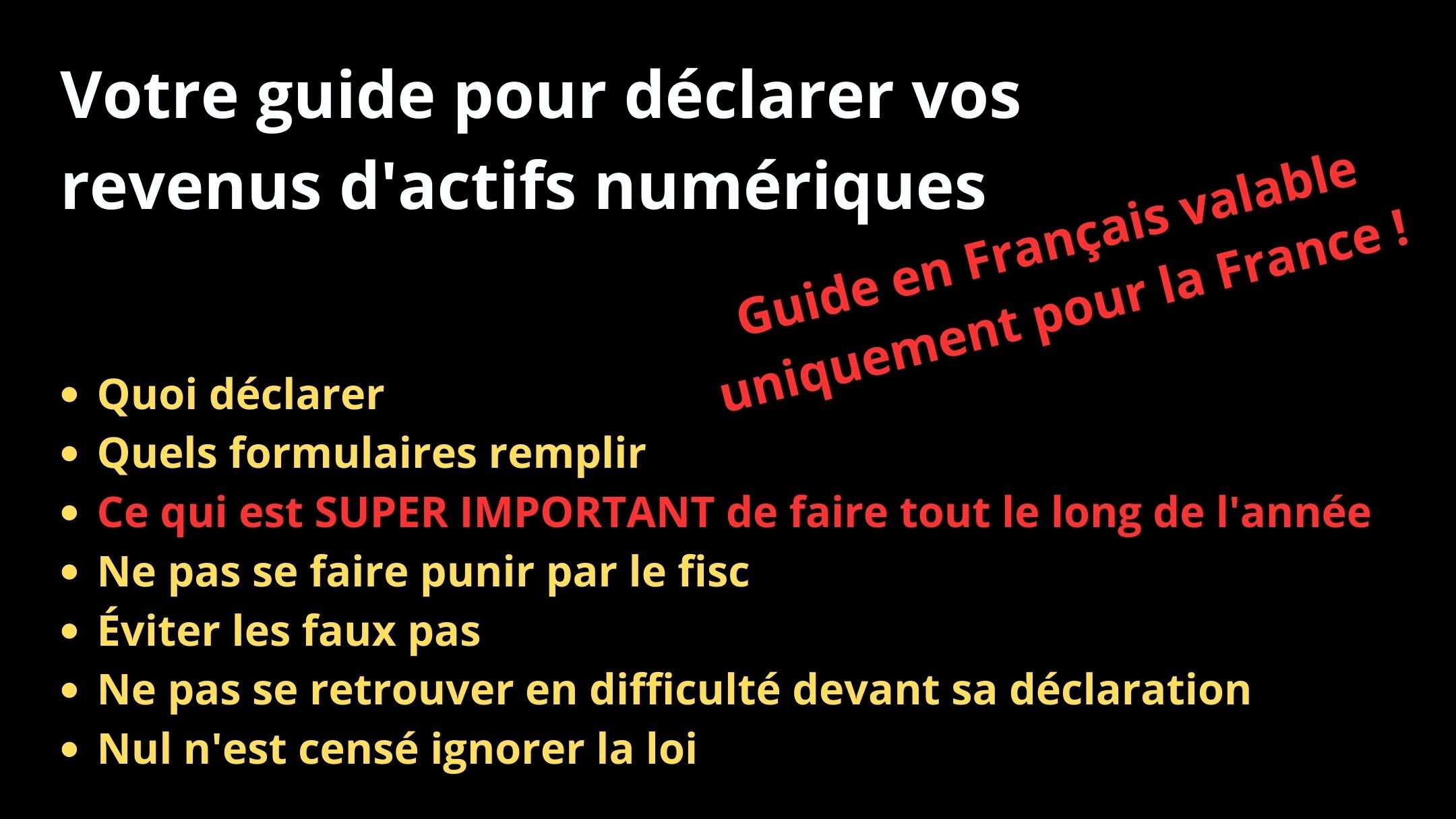 Guide Fiscalité Crypto Monnaie France - Aide Déclaration Revenus Actifs  Numériques - Formulaire 2086 - Etsy Ireland